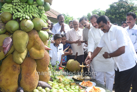Fruit Mela